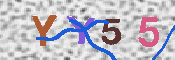 キャプチャ画像