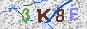 キャプチャ画像