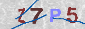 キャプチャ画像