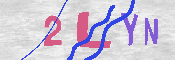 キャプチャ画像