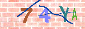 キャプチャ画像