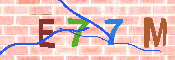 キャプチャ画像