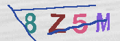 キャプチャ画像