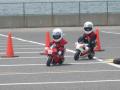 IMG_0951_convert_20080525084207.jpg