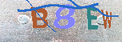 キャプチャ画像