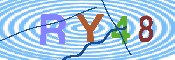 キャプチャ画像