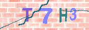 キャプチャ画像