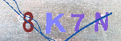 キャプチャ画像