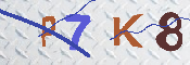 キャプチャ画像